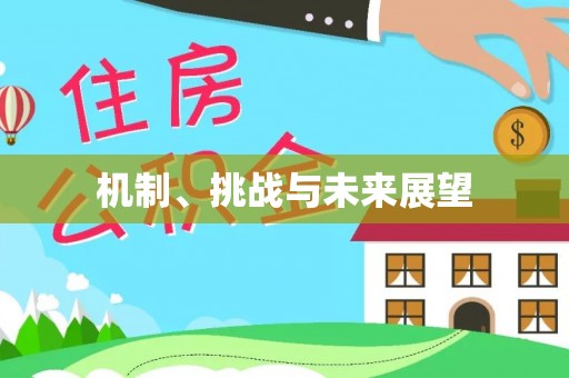 厚街机制、挑战与未来展望